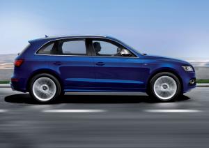 Audi SQ5 TDI 2013 года  (WW)